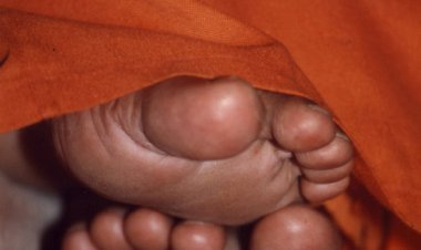 మానస భజరే