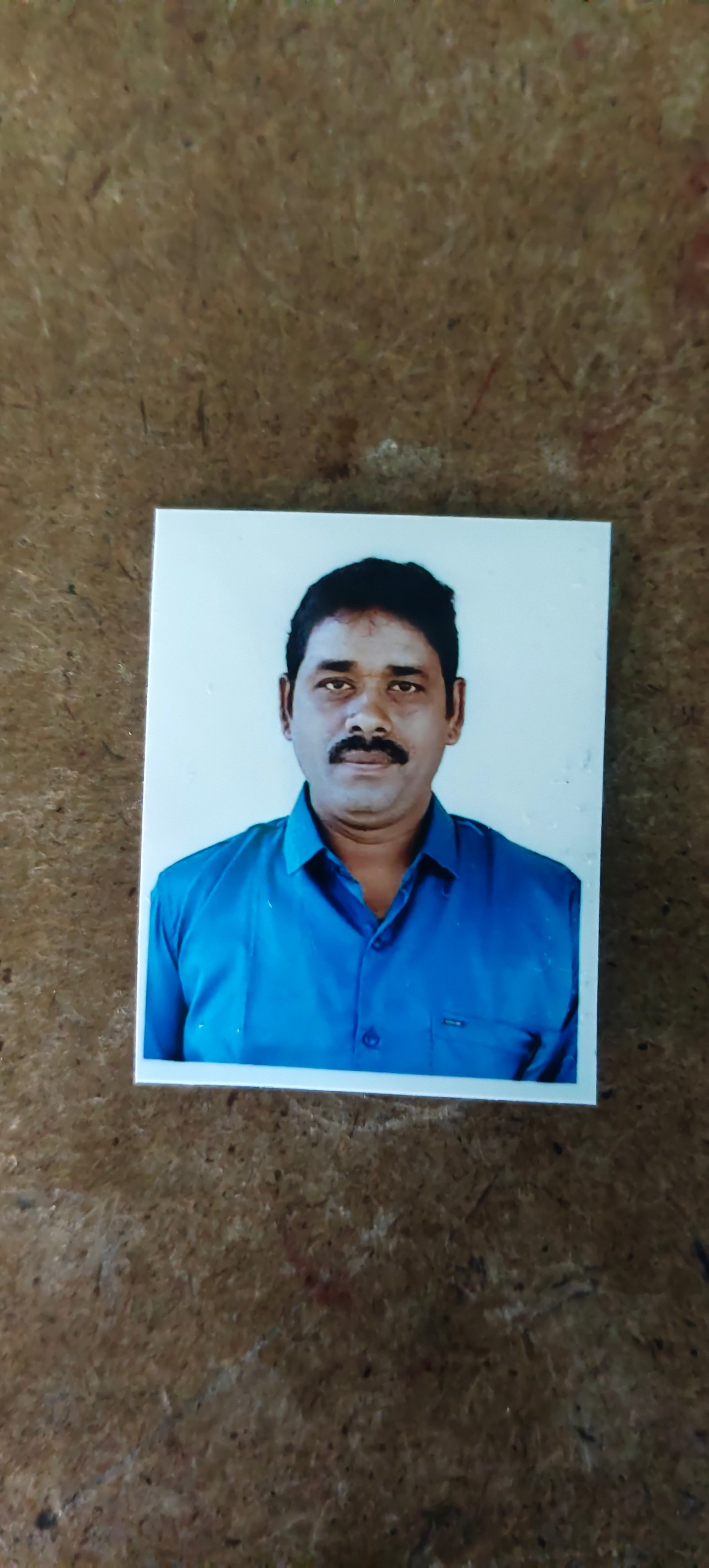 సీతా సతీష్