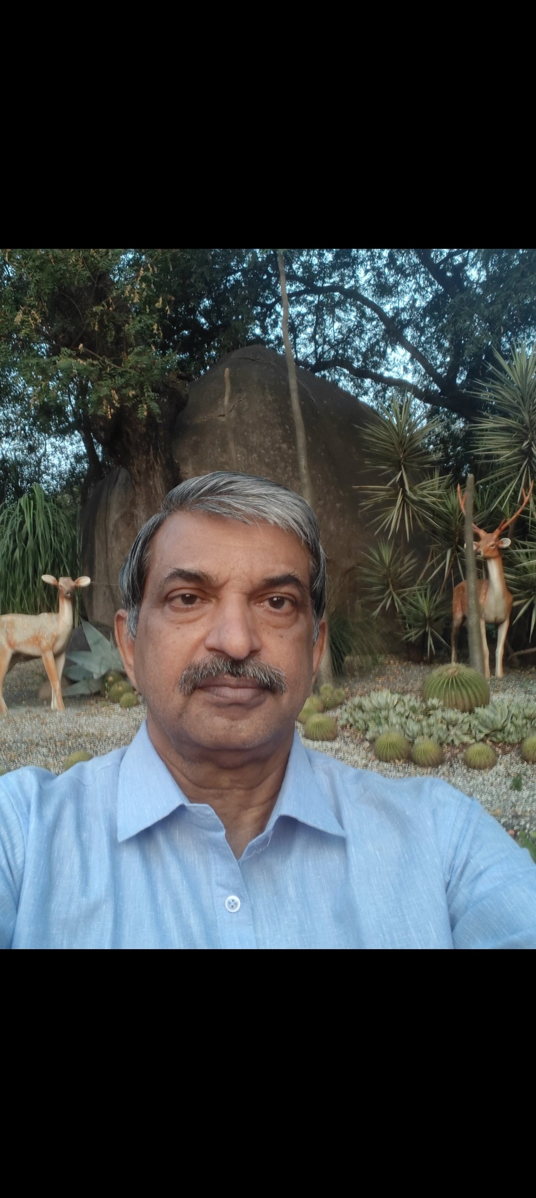 యం.వి.చంద్రశేఖరరావు