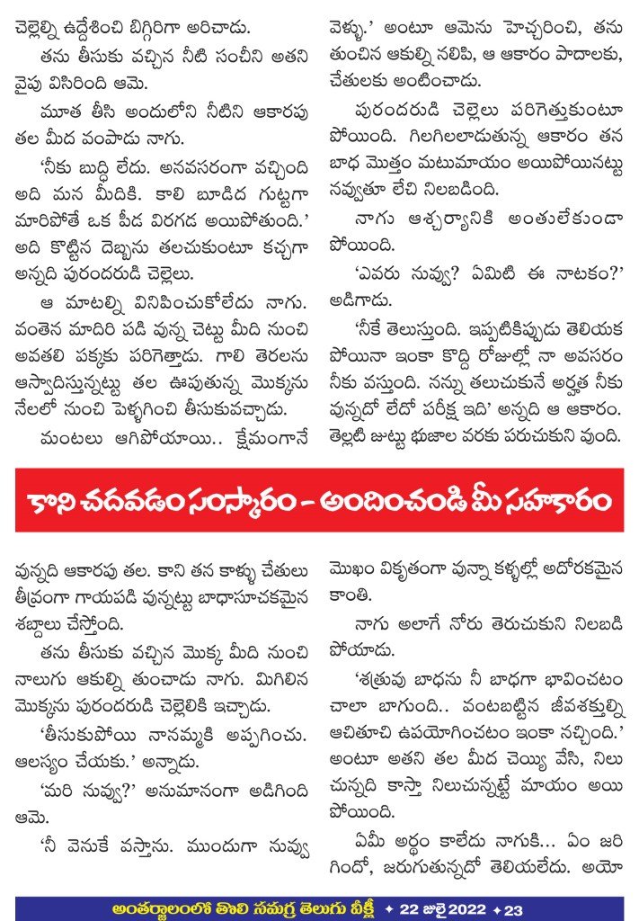 Page 23